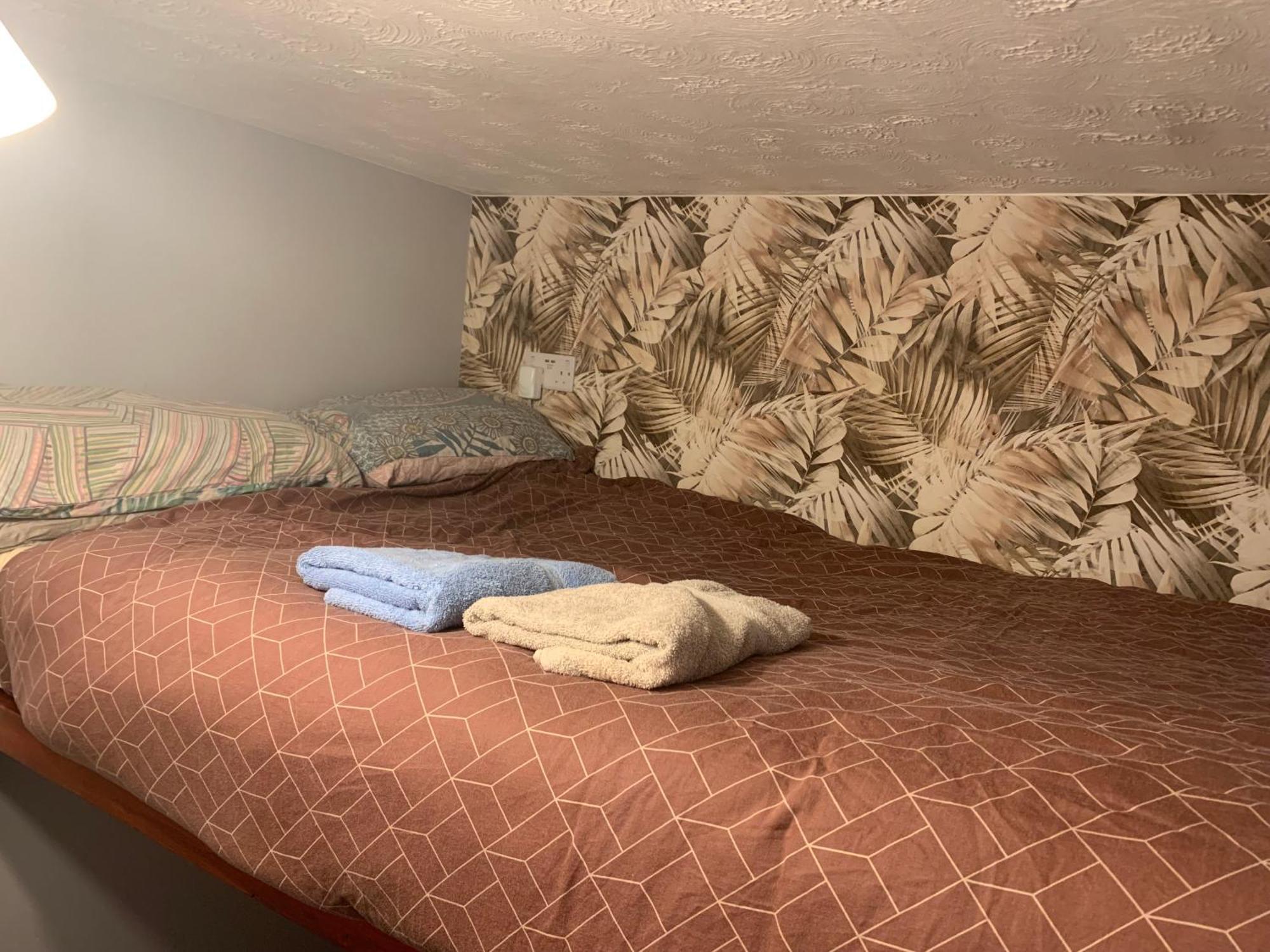 Wake Up With 2 Cats On Your Face Dublin Extérieur photo