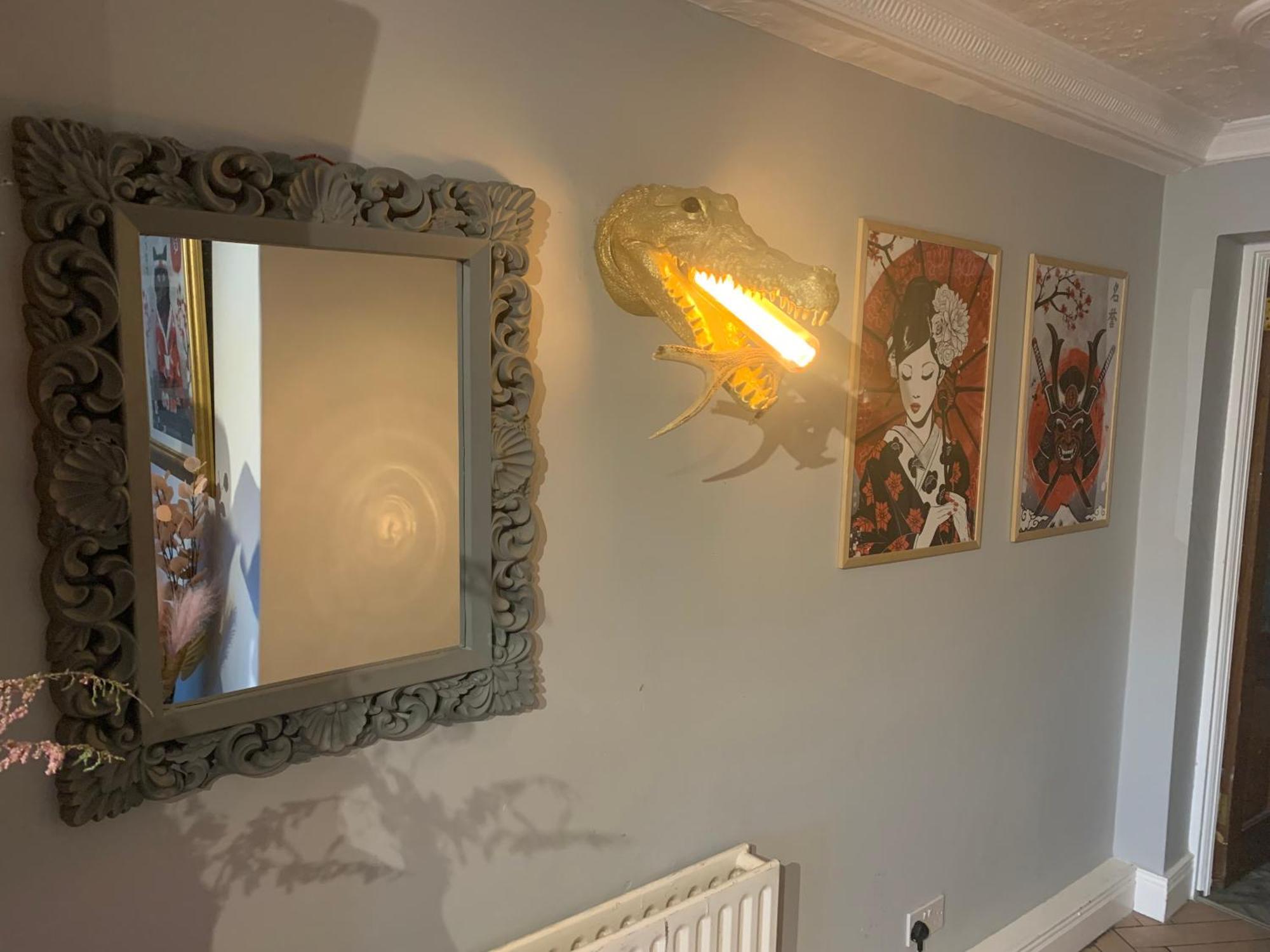 Wake Up With 2 Cats On Your Face Dublin Extérieur photo